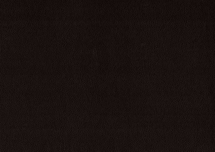 Lorenzi Dark Brown Dresser - Ornate Home