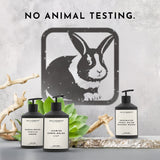 Sandalwood | Vanilla | Amber Lotion (Inspired by Hotel Costes®)