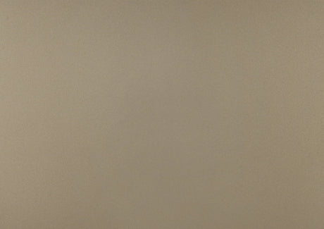 Loudon Champagne Youth Mirror - Ornate Home