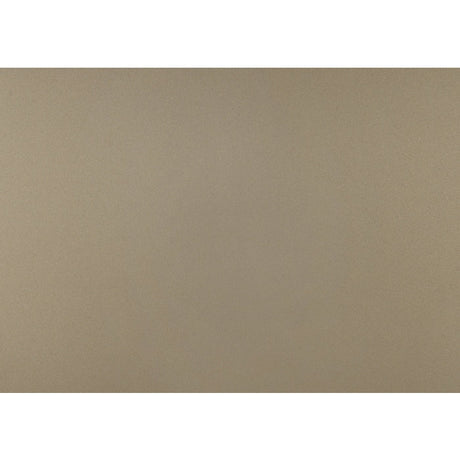 Loudon Champagne Youth Mirror - Ornate Home