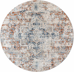 Loughrea Area Rug - Clearance - Ornate Home