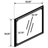 Louis Philippe White Dresser Mirror - Ornate Home