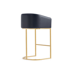 Louvre Barstool in Black (set of 2) - Ornate Home