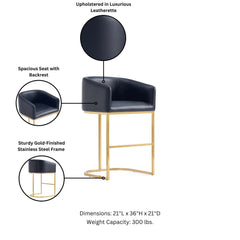 Louvre Counter Stool in Black - Ornate Home