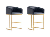 Louvre Counter Stool in Black (set of 2) - Ornate Home
