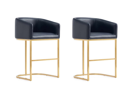 Louvre Counter Stool in Black (set of 2) - Ornate Home