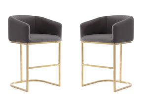Louvre Counter Stool in Grey and Titanium Gold (set of 2) - Ornate Home