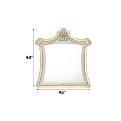 Lucienne Beige Mirror - Ornate Home