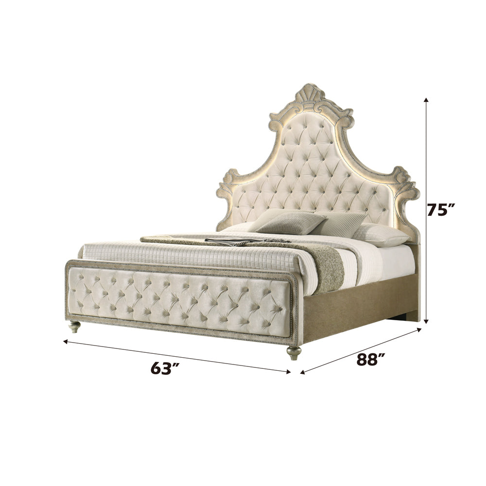 Lucienne Beige Queen Bed - Ornate Home
