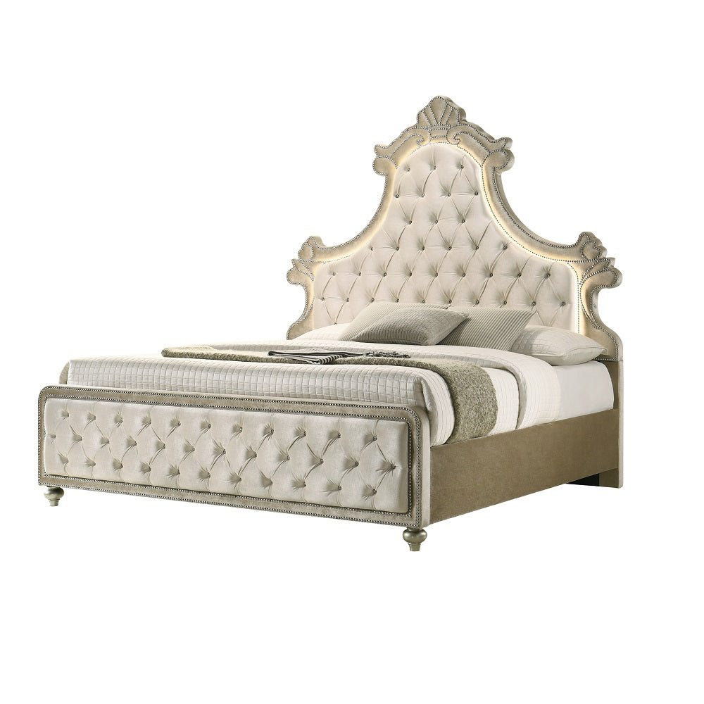 Lucienne Beige Queen Bed - Ornate Home