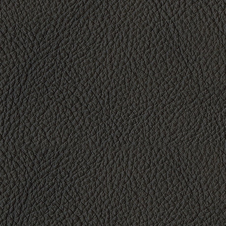 Luigi Thunder Sofa and Loveseat - Ornate Home