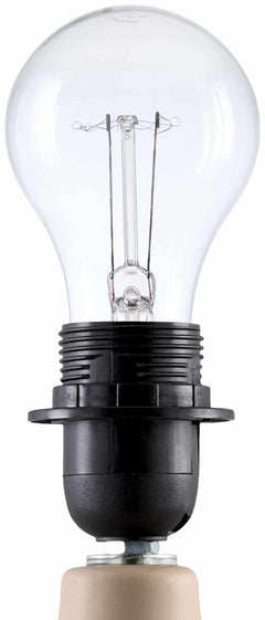 Lumellogno Coral Table Lamp - Ornate Home