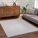Lunaro Gray Subtle Wavy Abstract Modern Minimalist Polyester Machine Woven Area Rug - Clearance - Ornate Home