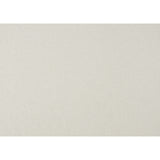 Luster White/Silver Glitter Queen Platform Bed - Ornate Home