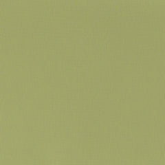 Lychee Green Outdoor Armchair - Ornate Home