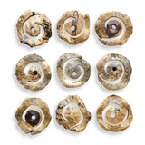 Corkscrew Woodtone Wood Wall Decor (Set of 9)