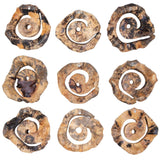 Corkscrew Woodtone Wood Wall Decor (Set of 9)