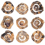 Corkscrew Woodtone Wood Wall Decor (Set of 9)