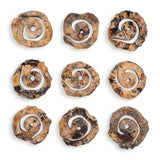 Corkscrew Woodtone Wood Wall Decor (Set of 9)