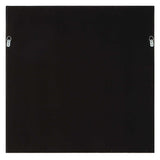 Tiger Sea Urchin Brown Shadow Box