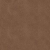 Mackmenville Caramel Reclining Sofa (Online Special Price) - Ornate Home