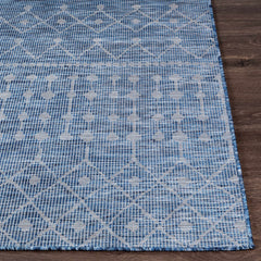 Maddingley Flatweave Outdoor Area Carpet - Clearance - Ornate Home