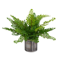 Maidenhair Fern Green Oxidized Container - Ornate Home