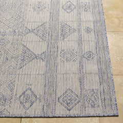 Malamig Gray & Blue Outdoor Area Rug - Clearance - Ornate Home