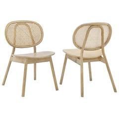 Malina Gray Wood Dining Side Chair (Set of 2) - Ornate Home