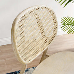 Malina Gray Wood Dining Side Chair (Set of 2) - Ornate Home