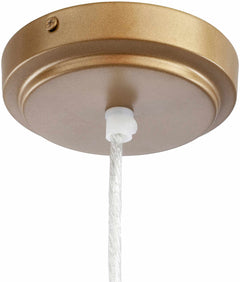Manton Ceiling Light - Clearance - Ornate Home