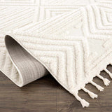 Manyas 3D Bone Area Rug with Tassels - Clearance - Ornate Home