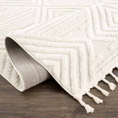 Manyas 3D Bone Area Rug with Tassels - Clearance - Ornate Home