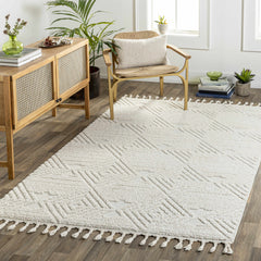 Manyas 3D Bone Area Rug with Tassels - Clearance - Ornate Home