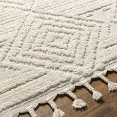 Manyas 3D Bone Area Rug with Tassels - Clearance - Ornate Home