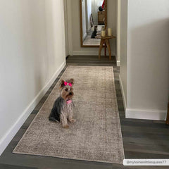 Margot Machine Woven Becki Owens x LIVABLISS BOSC-2302 Area Rug - Ornate Home