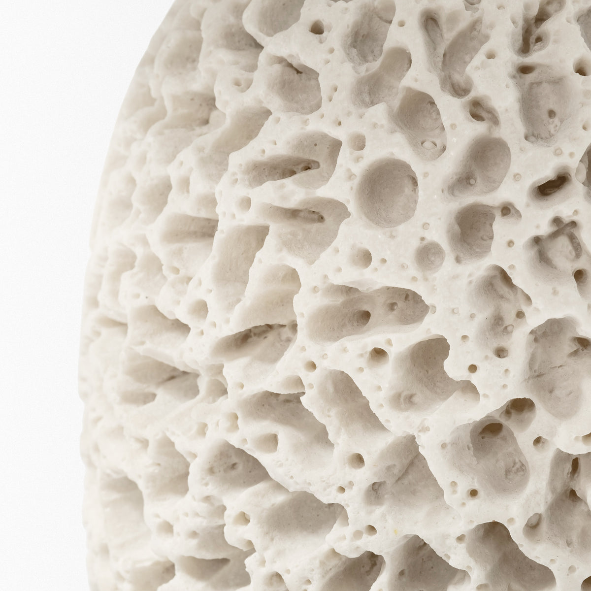Mariam Cream Coral-Inspired Base Table Lamp - Ornate Home