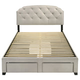 Marianna Cream 4-drawer Upholstered Queen Storage Bed - Ornate Home