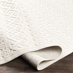 Maribyrnong 3D Outdoor Area Rug - Ornate Home