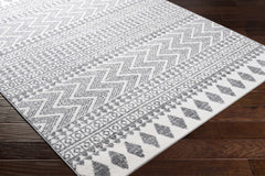 Massapequa Performance Rug - Clearance - Ornate Home
