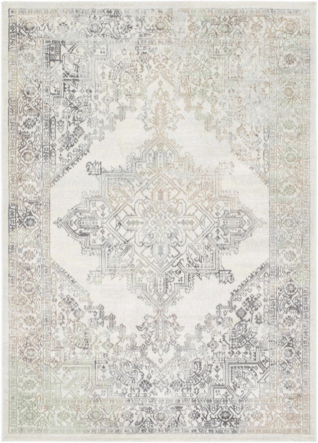 Masud Area Rug - Clearance - Ornate Home