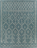 Maunawili Aqua Nordic Outdoor Rug - Ornate Home