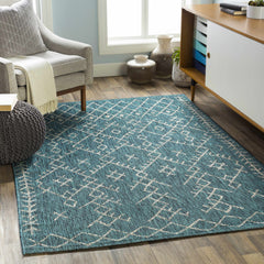 Maunawili Aqua Nordic Outdoor Rug - Ornate Home