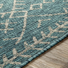 Maunawili Aqua Nordic Outdoor Rug - Ornate Home