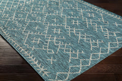 Maunawili Aqua Nordic Outdoor Rug - Ornate Home