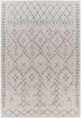 Maunawili Blue Detailed Gray Outdoor Rug - Clearance - Ornate Home