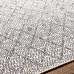 Maunawili Blue Detailed Gray Outdoor Rug - Clearance - Ornate Home