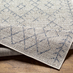 Maunawili Blue Detailed Gray Outdoor Rug - Clearance - Ornate Home