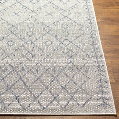 Maunawili Blue Detailed Gray Outdoor Rug - Clearance - Ornate Home