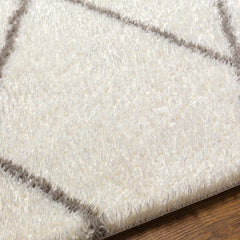 Maximiliano Area Rug - Ornate Home